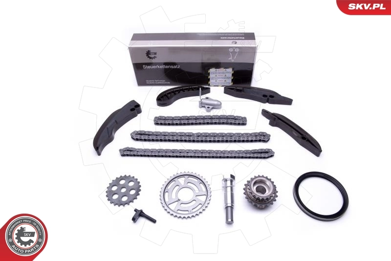 Timing Chain Kit